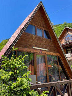 THE WOODEN house